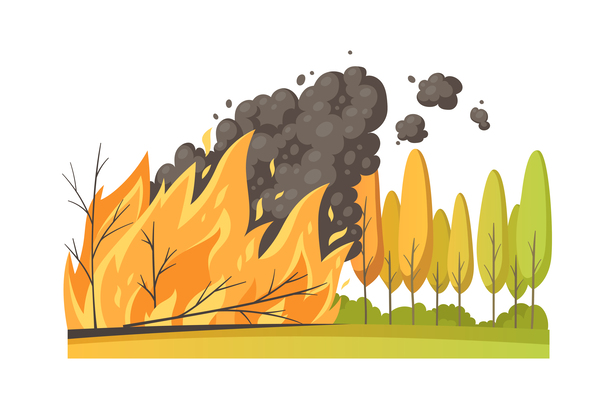 catastoincendi